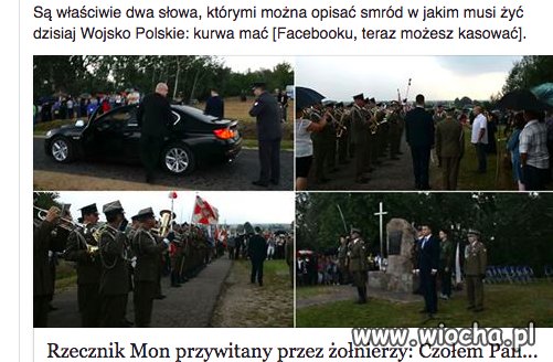 Tak, qrwa mać to idealny opis
