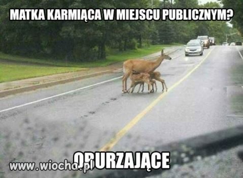 Matka Karmiąca w miejscu publicznym.