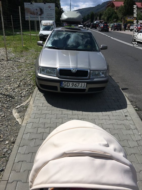 Mam Skodę ...