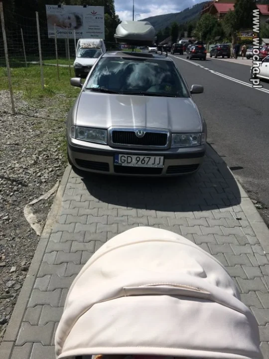 Mam Skodę ...