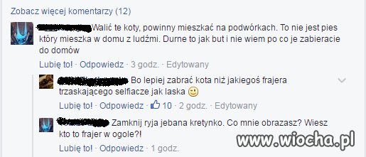Takie tam pod zdjęciem "Kotek szuka domu"