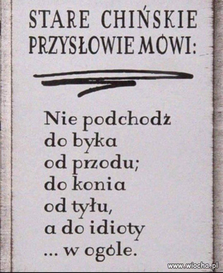A z wiejskimi idiotami nie konwersuj