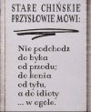 A z wiejskimi idiotami nie konwersuj