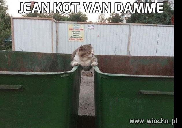 Jean Kot van Damme