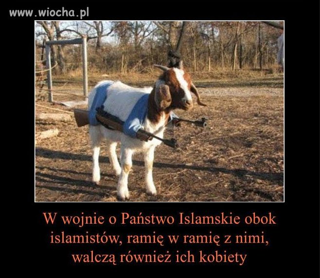 Miłość wymaga 