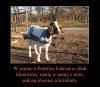 Miłość wymaga 