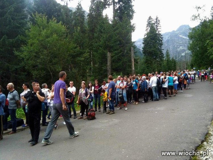 Kolejka do wozów konnych na Morskie Oko