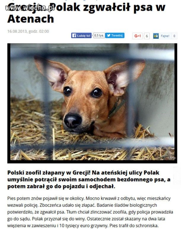 Pozytywna strona emigracji.