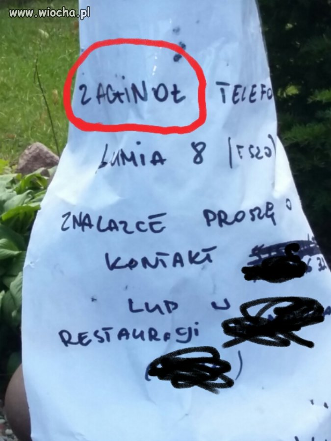 "Zaginoł telefon"... Słownik chyba też