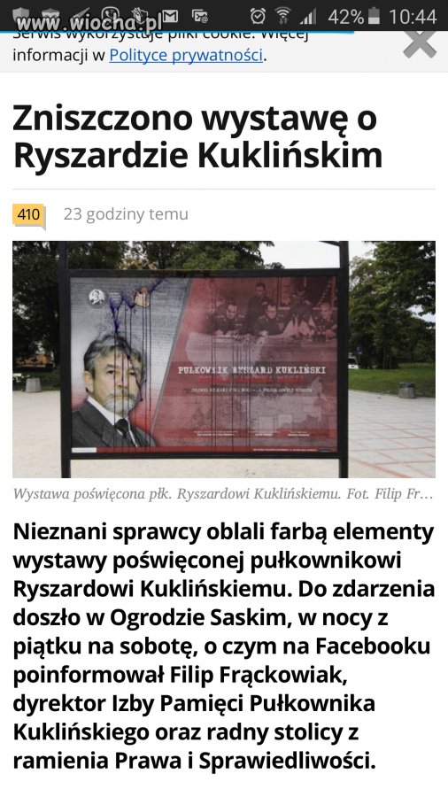 Głupi wybryk? 