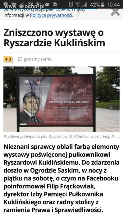 Głupi wybryk? 