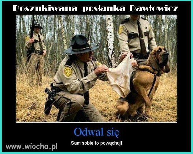 Sam sobie wąchaj