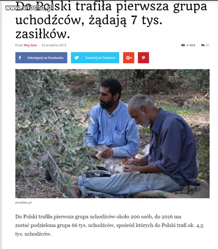 Tak i może jeszcze dać im bileciki do domu publicznego