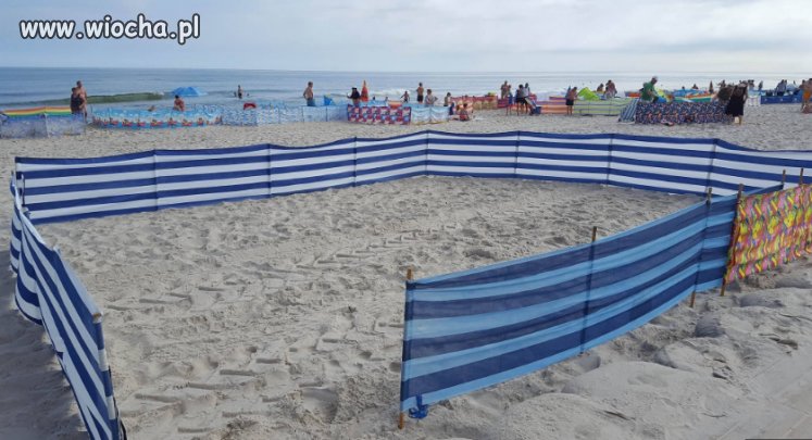 Janusz na plaży