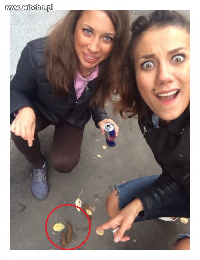 Takie tam w kupą
