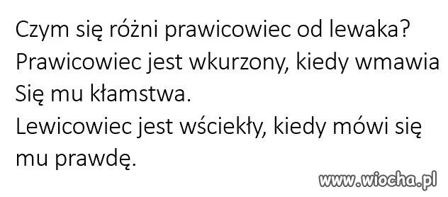 Motto dnia 