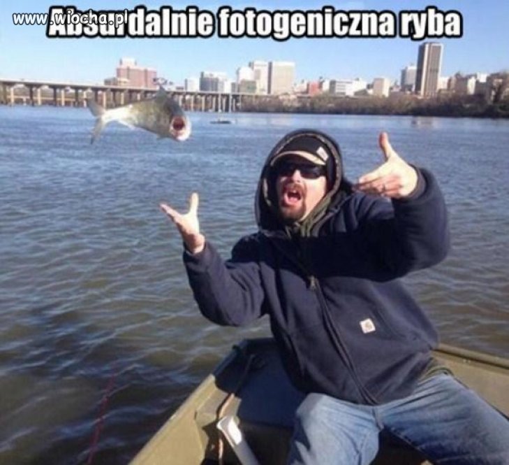 Rybka.