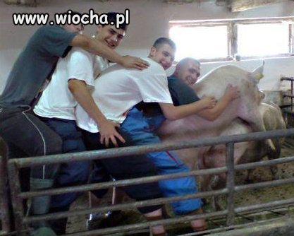 Ciechanów się bawi