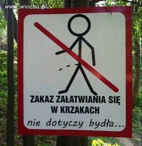 Imigranci mogą więcej ?