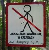 Imigranci mogą więcej ?