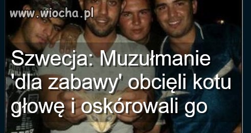 Muzułmanie 