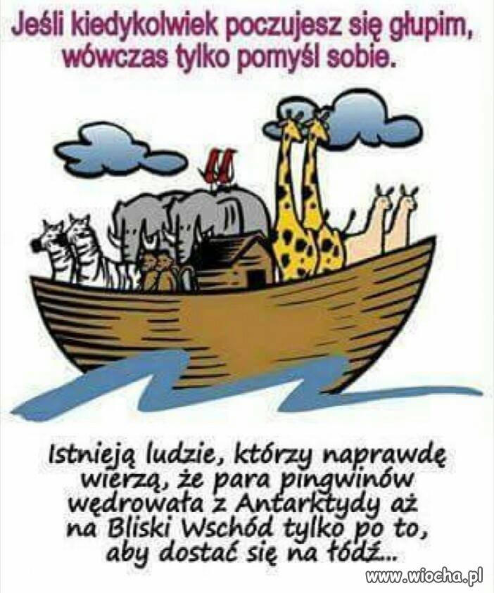 Ciekawe jak kangury się dostały z Australii?