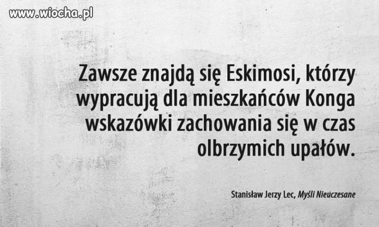 Prawda o niektórych specjalistach