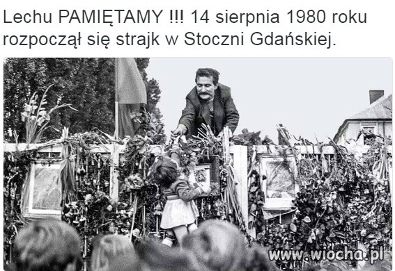Dziękuję 