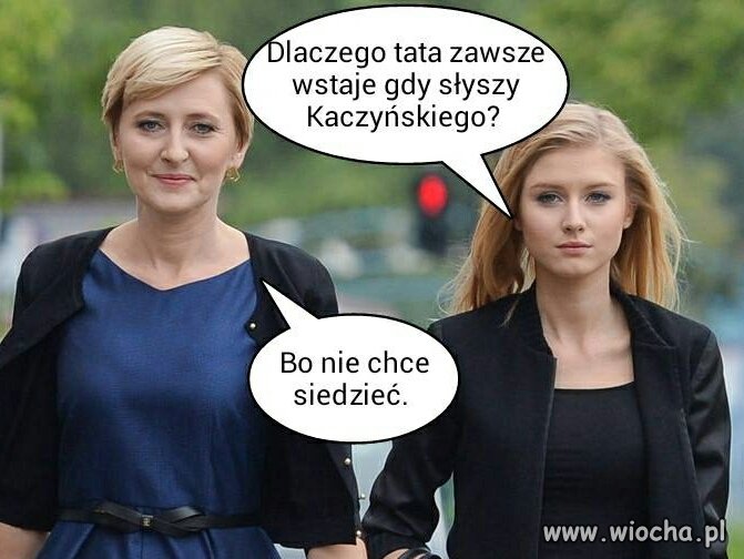 Coś w tym jest 