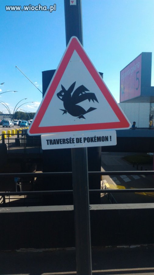 Zakaz łapania Pokemonów. Centrum handlowe 
