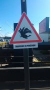 Zakaz łapania Pokemonów. Centrum handlowe 