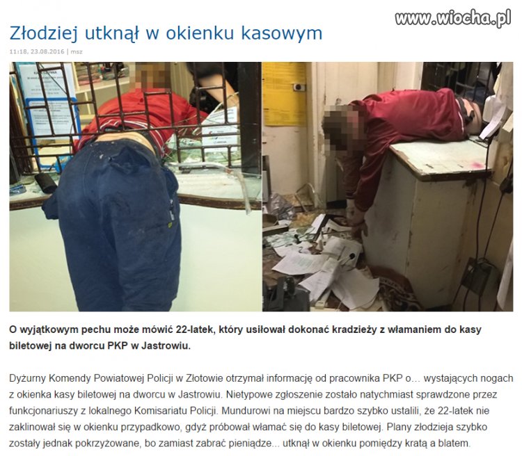 Złodziej stulecia