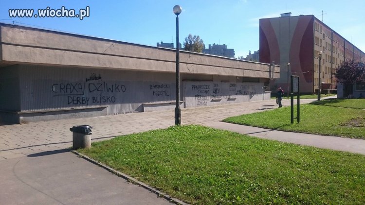 Craxa a może wisła, a może jednak craxa