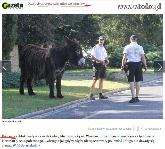 Gazeta Wrocławska