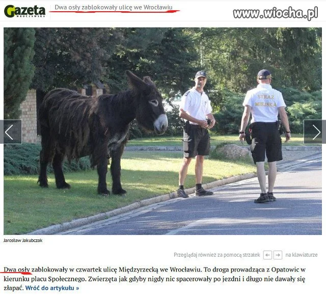 Gazeta Wrocławska