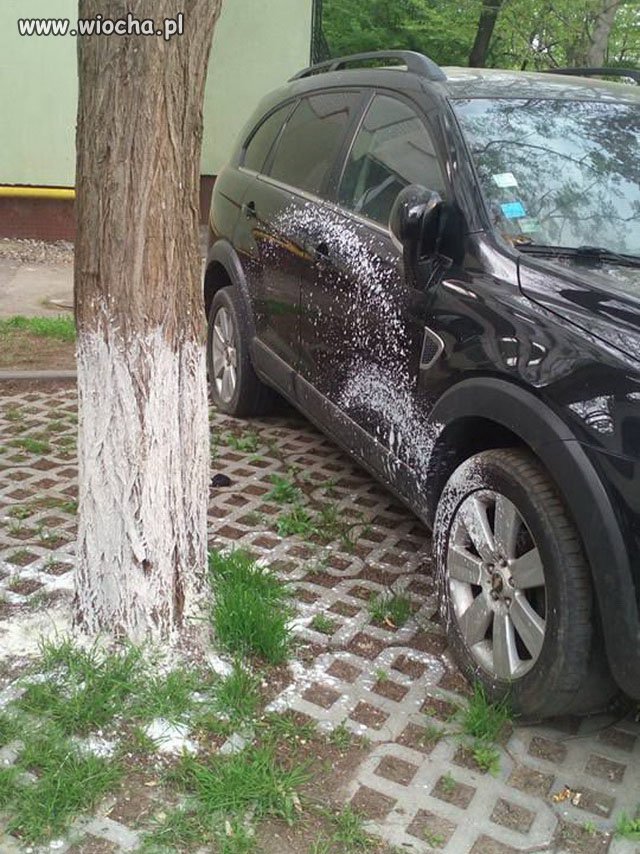 Taka sytuacja