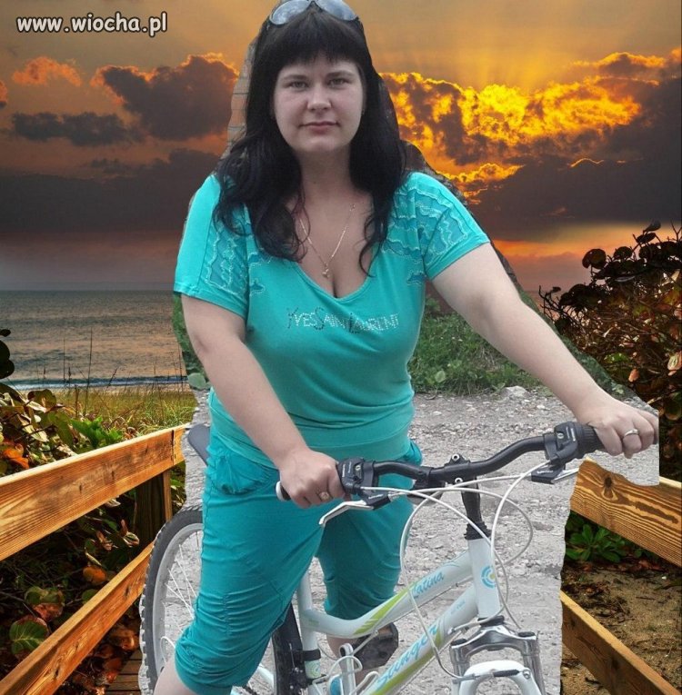 Pamiętniki z wakacji