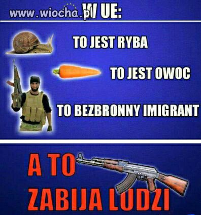 Tok myślenia UE