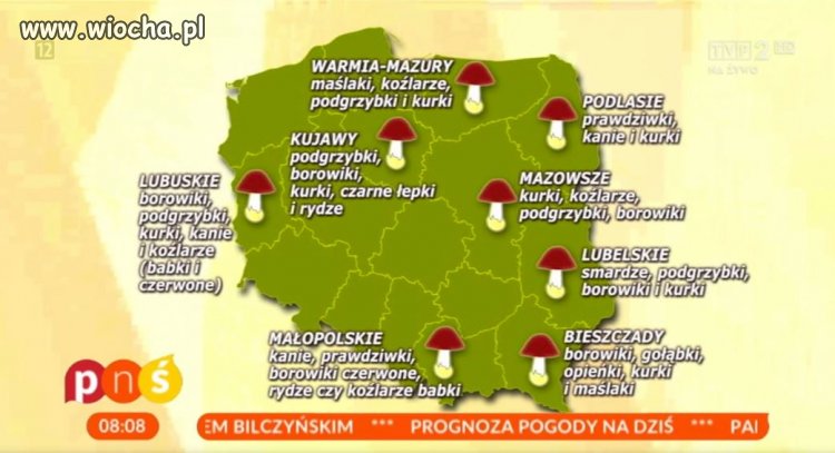 A w PNŚ na Kujawach widzą czarne łepki