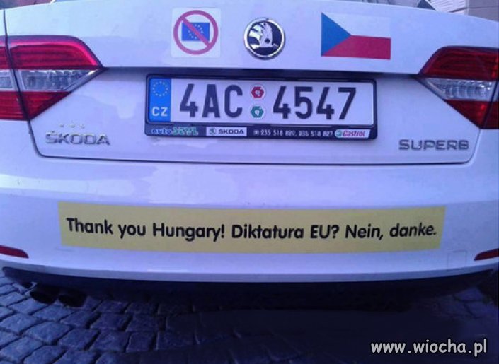 Nie, dziękuję