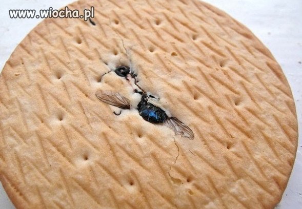 Ciacho