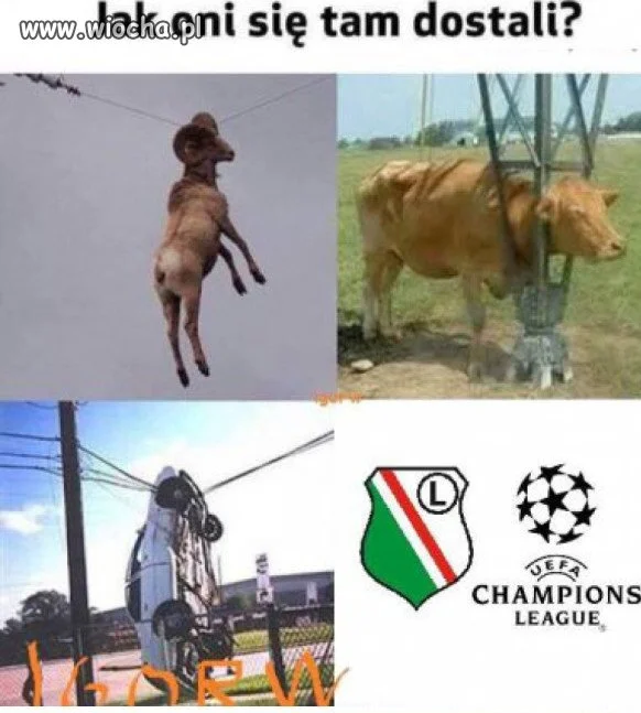 Po wczorajszym meczu.