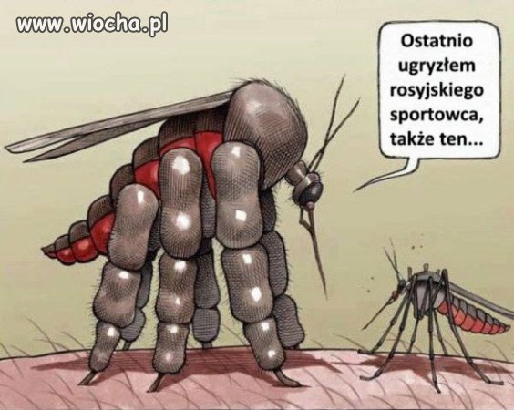 Rosja to już inny świat 