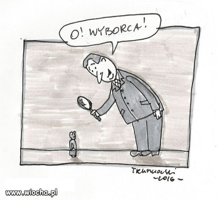 Wyborca 