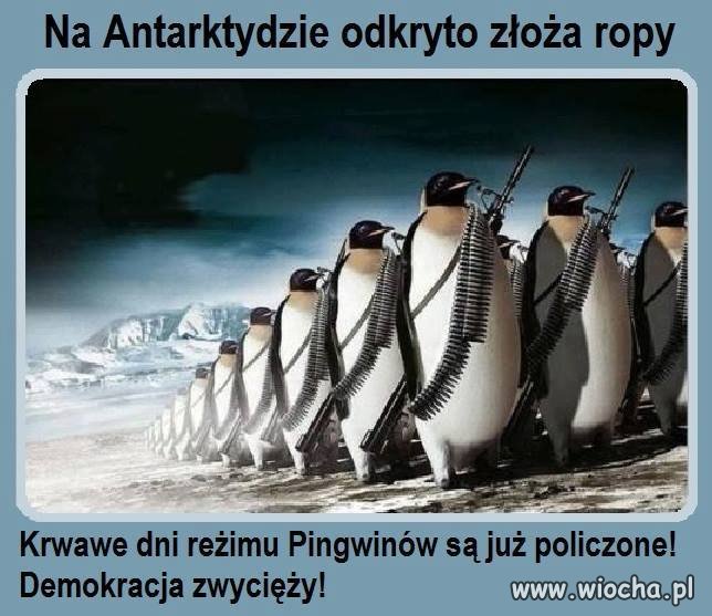 Ludzie wszystko zniszczą i poświęcą dla doraźnego zysku 