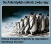 Ludzie wszystko zniszczą i poświęcą dla doraźnego zysku 