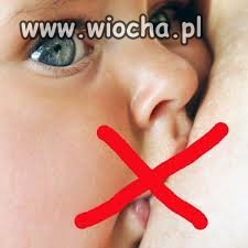 Zakaz wnoszenia jedzenia