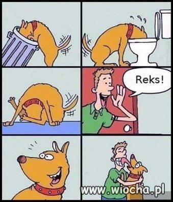 Coś w tym jest 