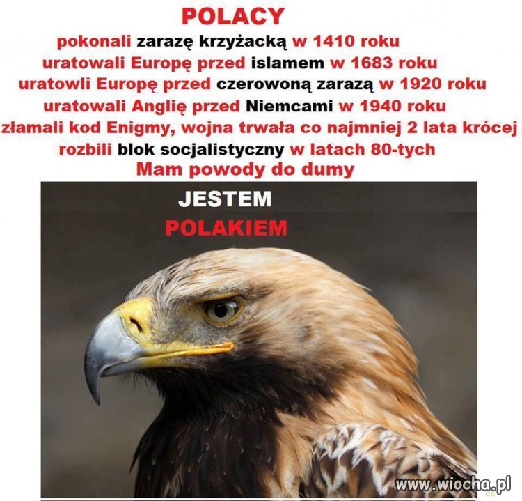 Putin i Merkel już zacierają ręce