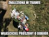 Znaleziono w trawie